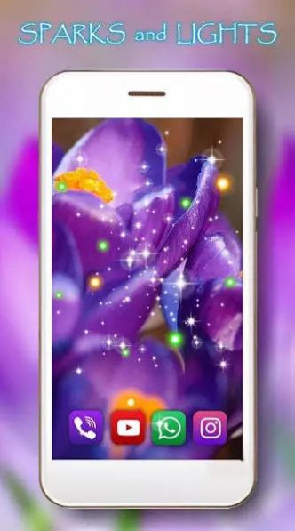 番紅花之春壁紙