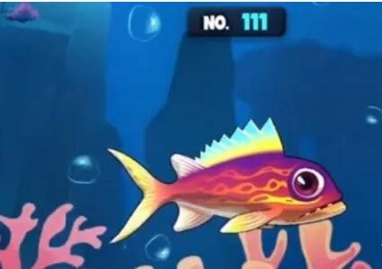 《魚吃魚》第八海域幾內亞灣普通魚解鎖攻略