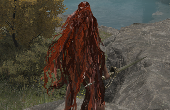 《艾爾登法環》黑暗之魂3環印城公主物理長發MOD