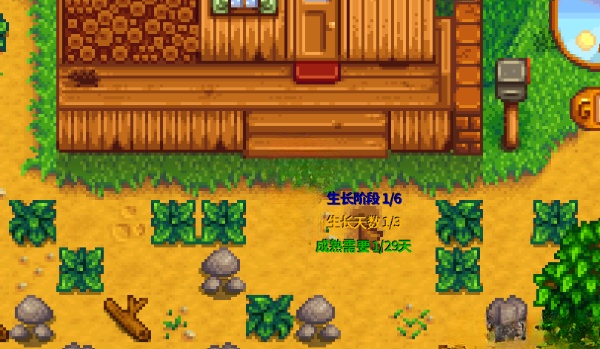《星露谷物語》作物生長信息MOD漢化版