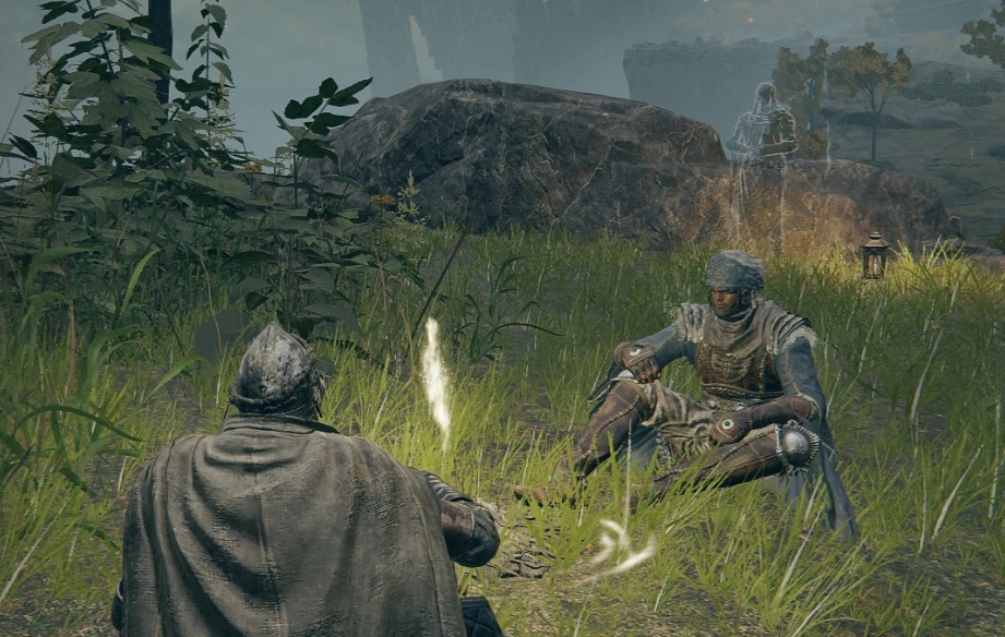 《艾爾登法環(huán)》無縫合作模式MOD