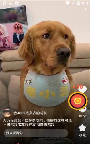 逗丫視頻