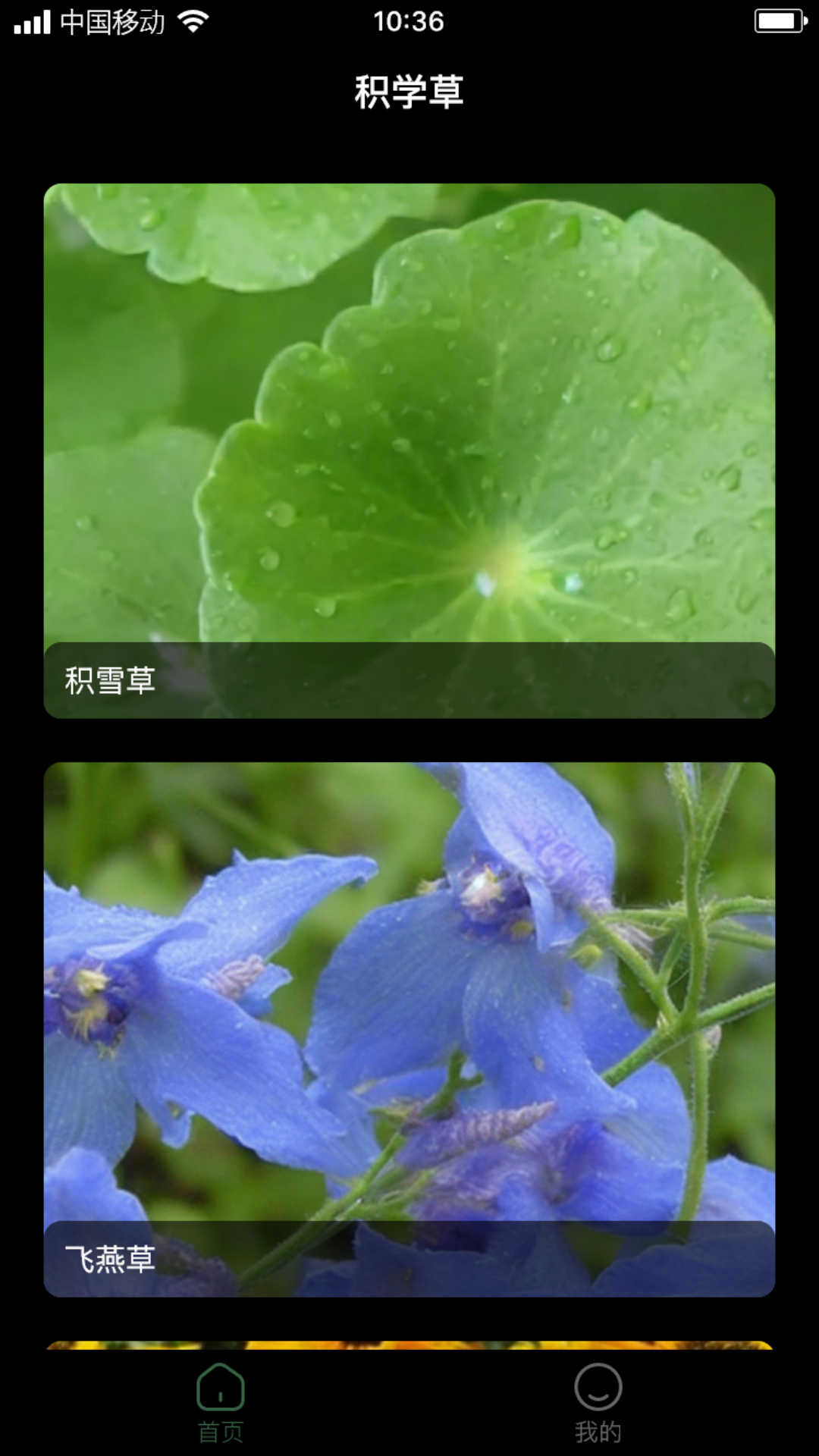 積學草