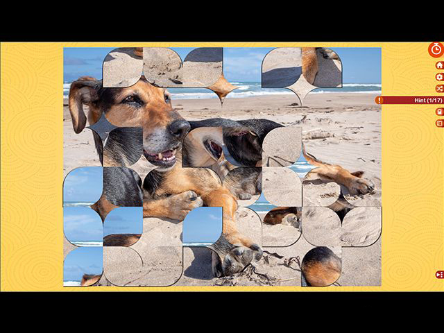 益智假期：澳大利亞和新西蘭