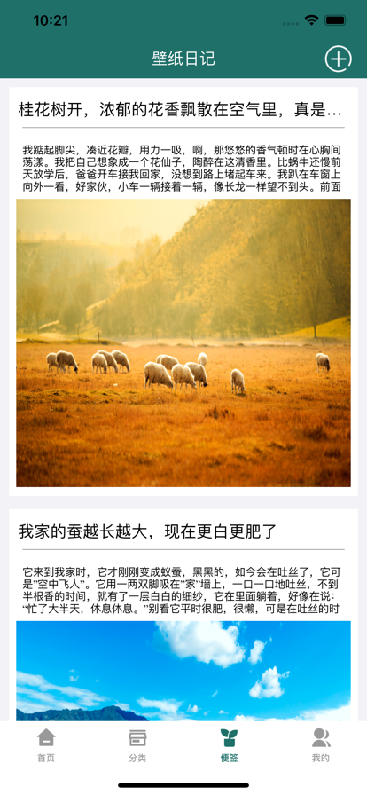 山梨壁紙