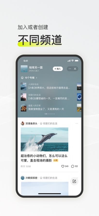 迷島社交