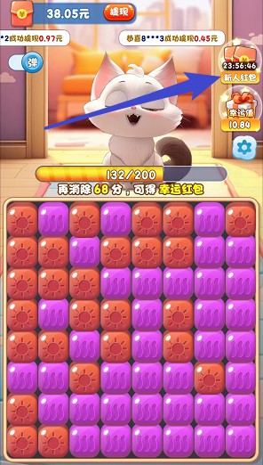 猫咪公社
