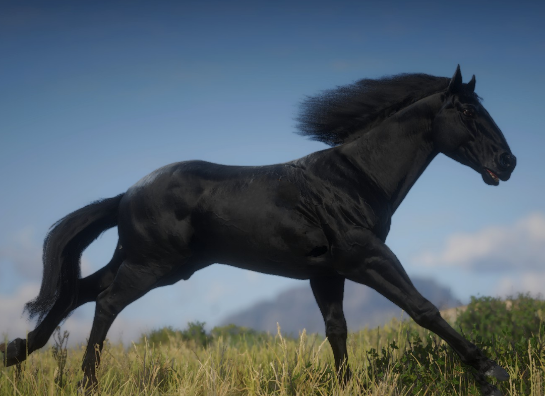 《荒野大鏢客2》黑色穆爾格斯馬MOD