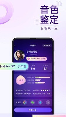 Flag語(yǔ)音