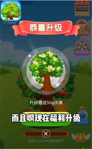 平安果園紅包版