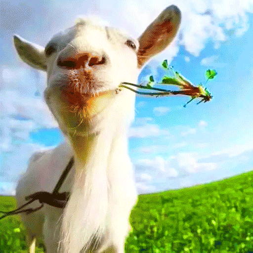 動物復(fù)仇者模擬