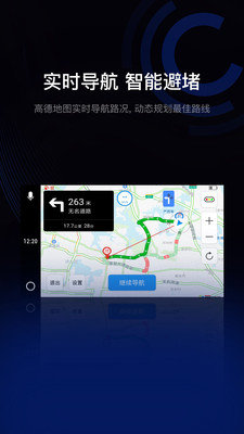 駕駛伴侶