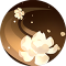 妃子笑.png