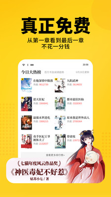 福祿小說