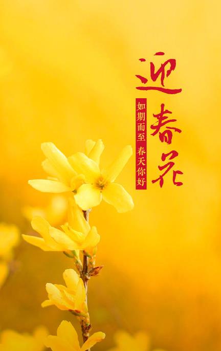 春花壁紙圖片高清