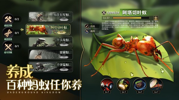 小小蟻世界