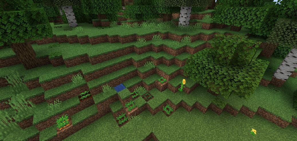 《我的世界》1.16.5Wild World Mod