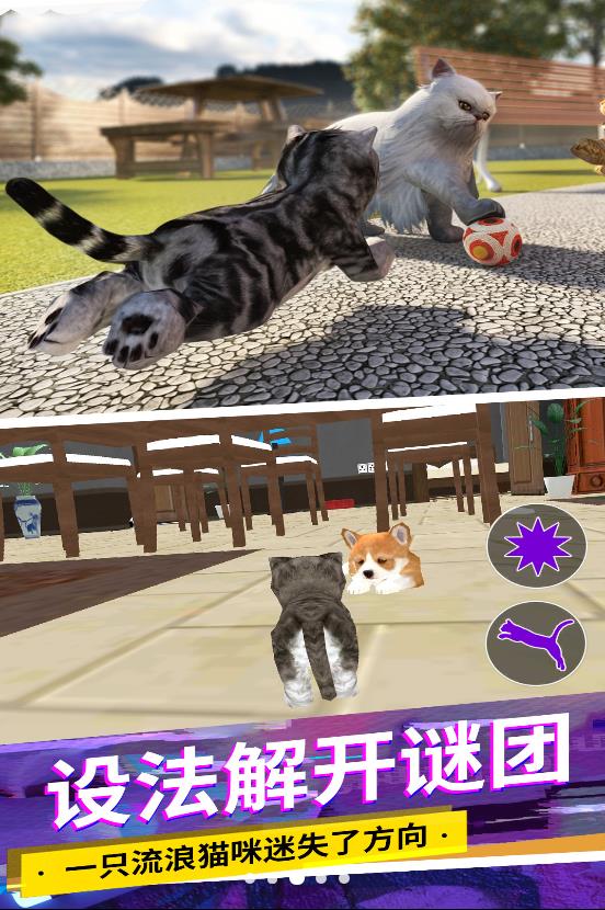 貓咪城市模擬