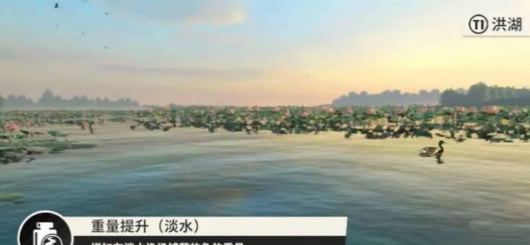 《歡樂釣魚大師》Buff大全匯總