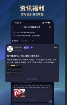 dsport電競(jìng)