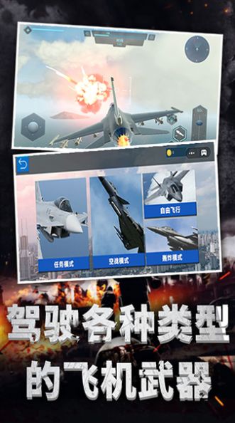極限飛機駕駛