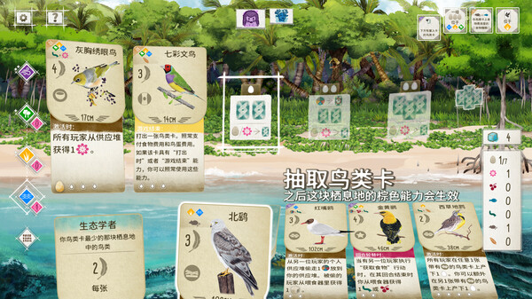 展翅翱翔：大洋洲篇