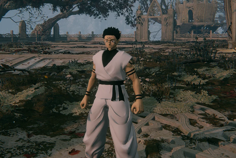 《艾爾登法環(huán)》咒術(shù)回戰(zhàn)最終戰(zhàn)宿儺MOD[支持最新v1.12.3]