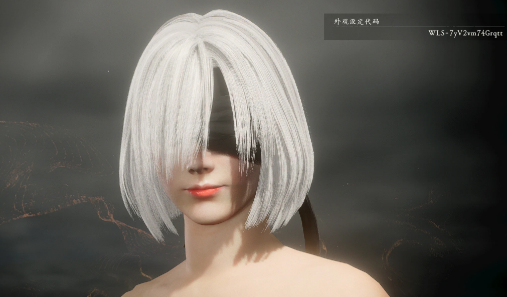 《臥龍：蒼天隕落》尼爾2B小姐姐捏臉代碼