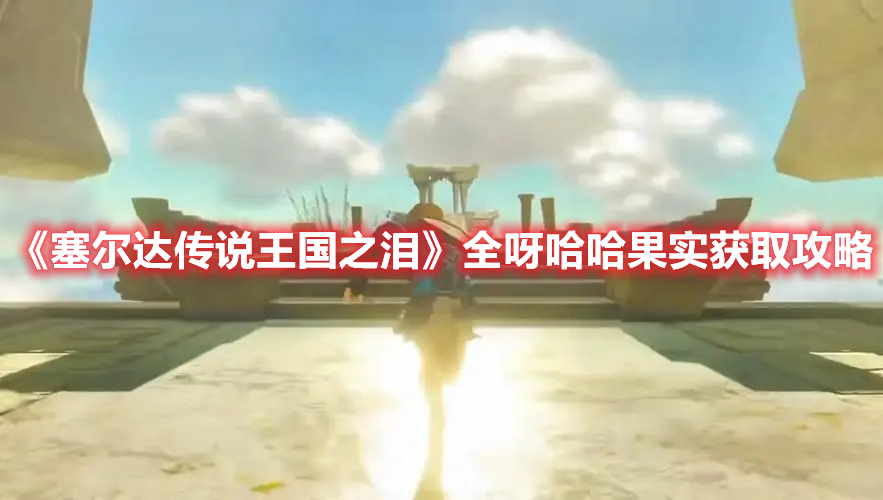 《塞爾達傳說王國之淚》全呀哈哈果實獲取攻略