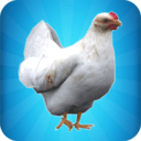 一只特立獨行的雞