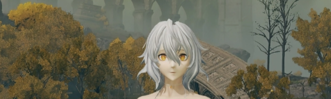 《艾爾登法環》噬血代碼Io流浪騎士套MOD
