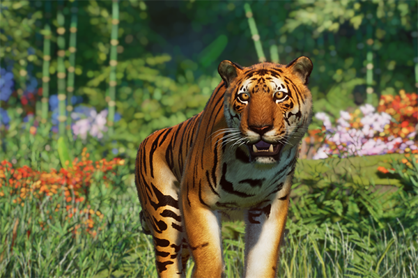 《動物園之星》增添新物種華南虎MOD[支持v1.13版]