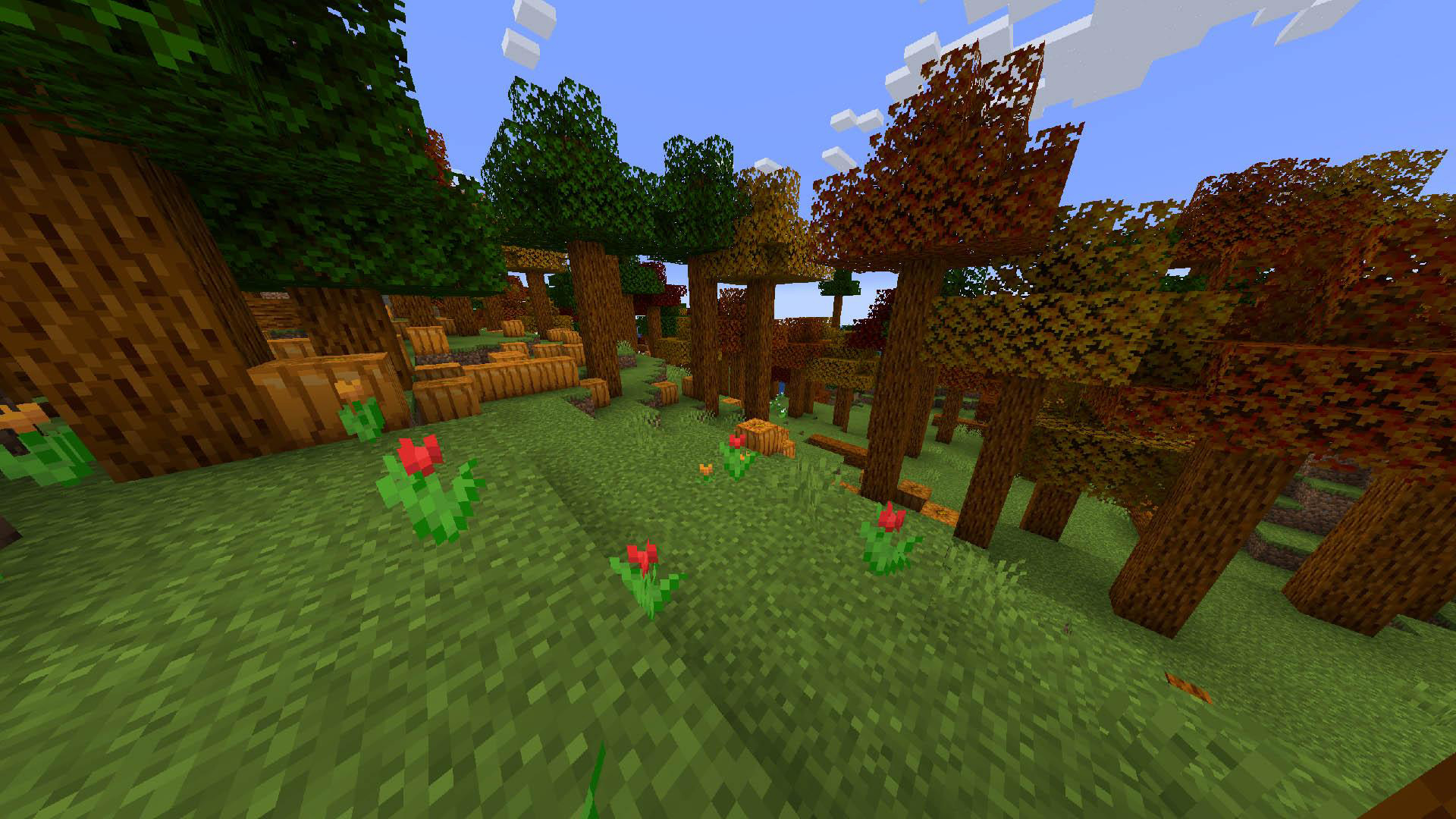 《我的世界》1.19.2楓林MOD