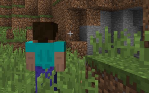 《我的世界》1.20.1越肩視角重制MOD