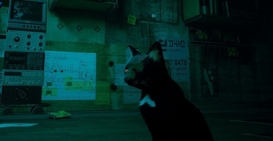 《Stray》黑貓白心貓MOD