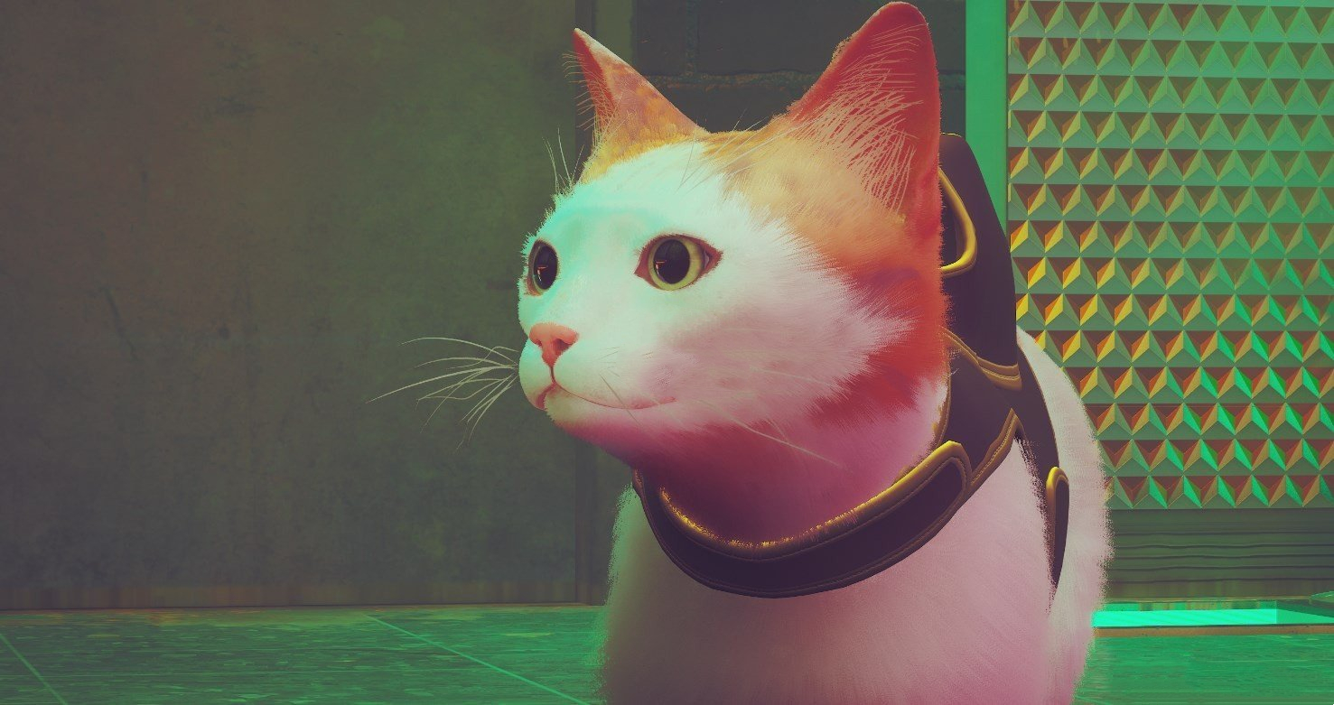 《Stray》白毛橘耳橘尾貓MOD