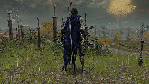 《艾爾登法環(huán)》銀色血獵騎士鎧甲MOD