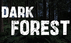 黑暗森林