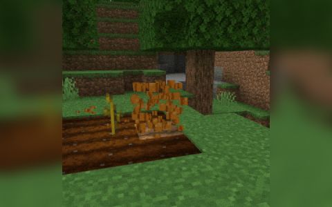 《我的世界》1.20.1保持肥沃MOD