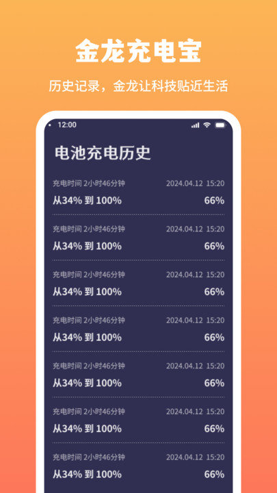  金龍充電寶