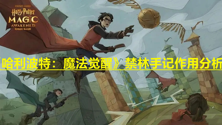 《哈利波特：魔法覺醒》禁林手記作用分析