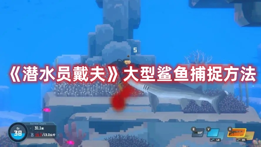 《潛水員戴夫》大型鯊魚捕捉方法