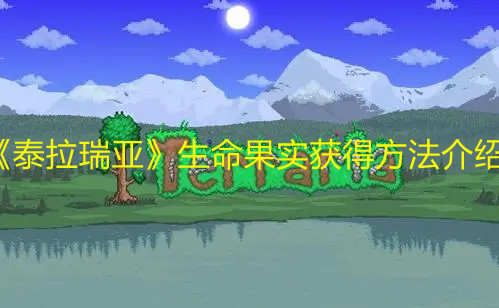 《泰拉瑞亞》生命果實(shí)獲得方法介紹