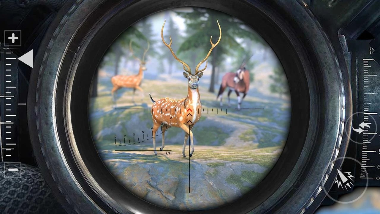 非洲獵鹿人