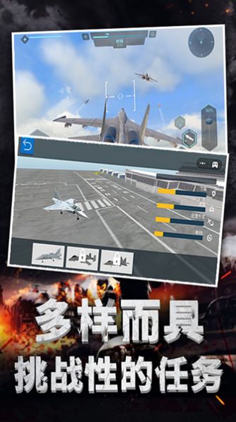 極限飛機駕駛