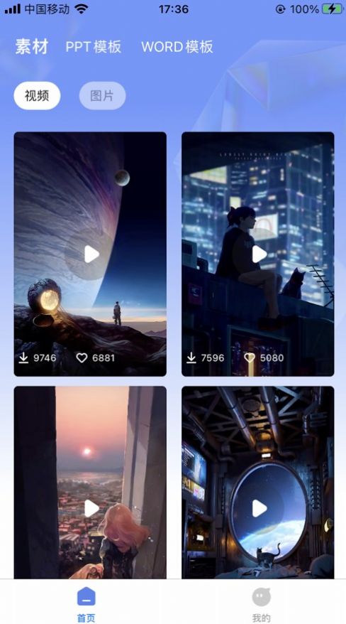 海鷗屏保壁紙
