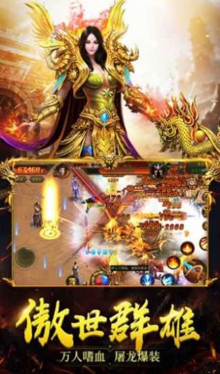 飛揚合擊2