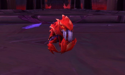 《魔獸世界》寵物拉基姆獲取攻略