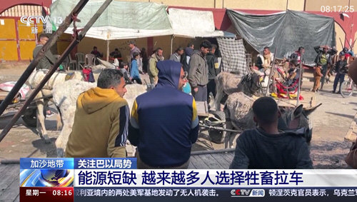 巴豆俠TV