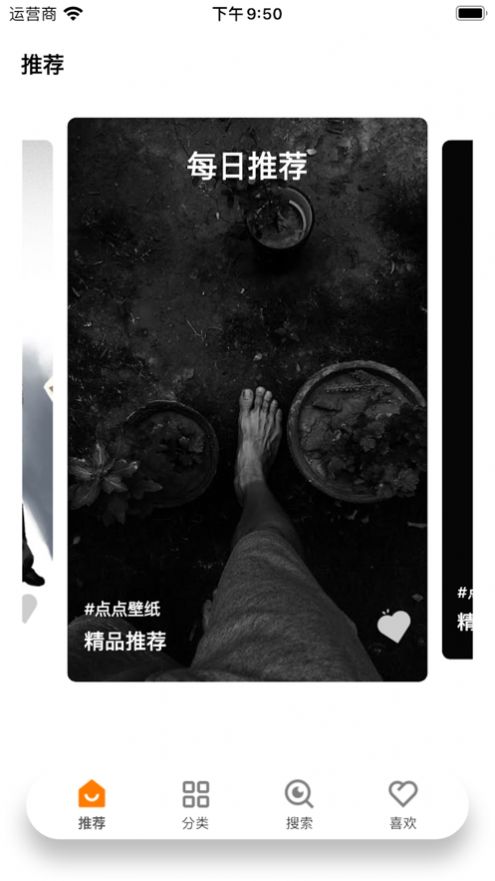 多利精彩壁紙